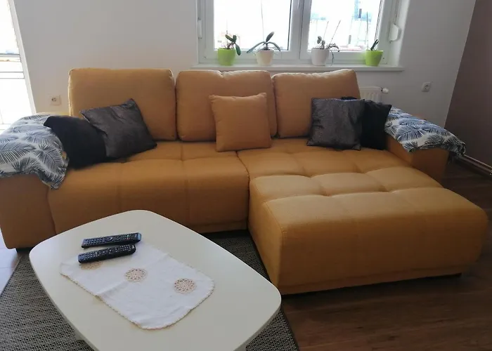 Fani