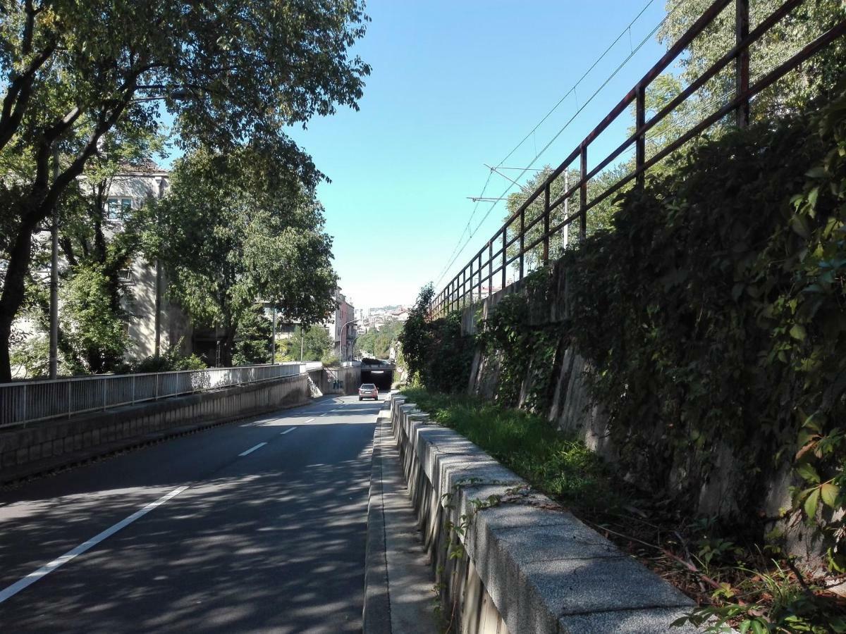 Fani Rijeka